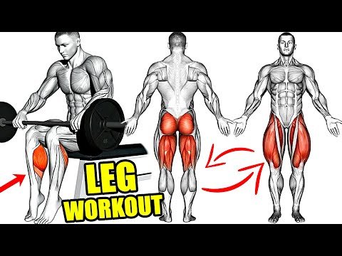 How to Build BIG and STRONG LEGS (Calves Hamstrings Quadriceps)