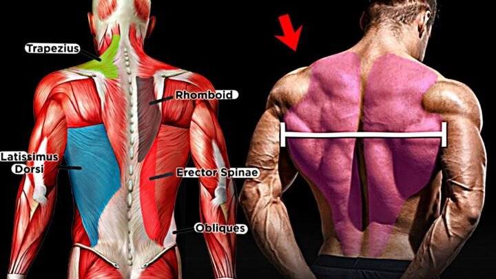How to Grow a Big Back – 11 Effective Exercise