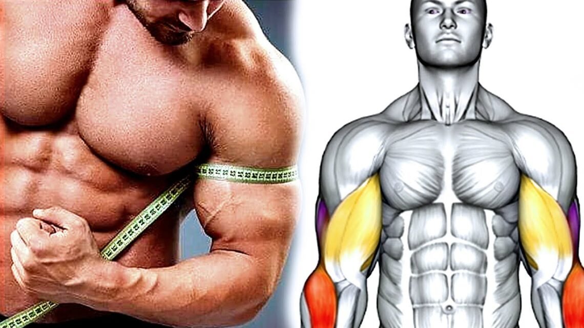 How To Build Your Big Arms (Biceps Triceps Exercises)