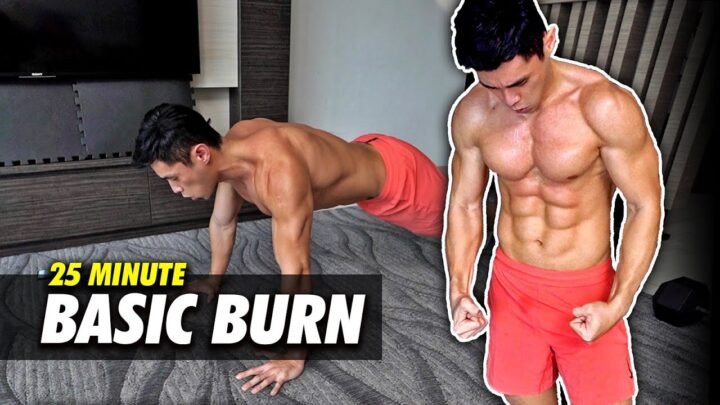 Basic FULL BODY  No Equipment Home Workout (Level 3-4)