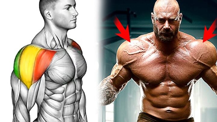 9 Best Exercises to Grow a Bigger Shoulders – DUMBBELLS ONLY