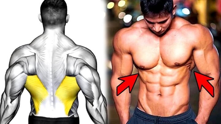 6 Exercises To Build A Big Back – Gym Body Workout