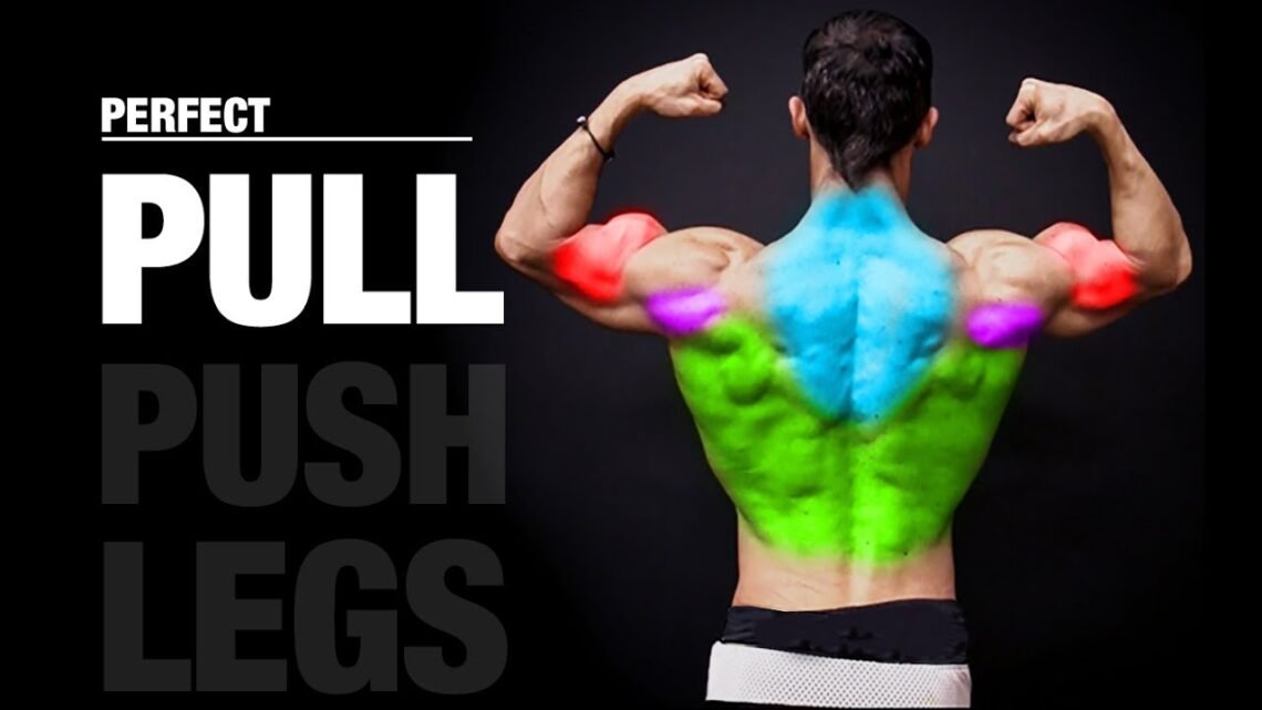 The PERFECT Pull Workout (PUSH  PULL  LEGS)