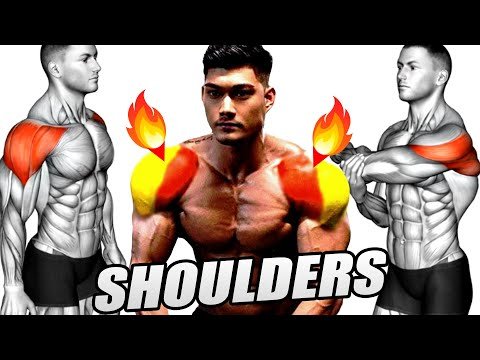 Perfect Gym Shoulder Workout – 10 Exercises You Should Be Doing