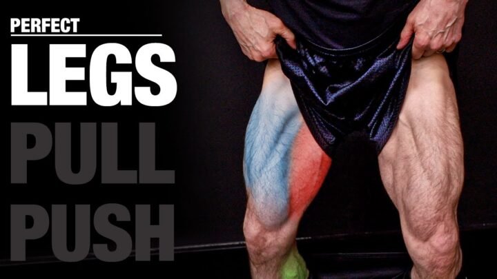 The PERFECT Legs Workout (PUSH  PULL  LEGS)