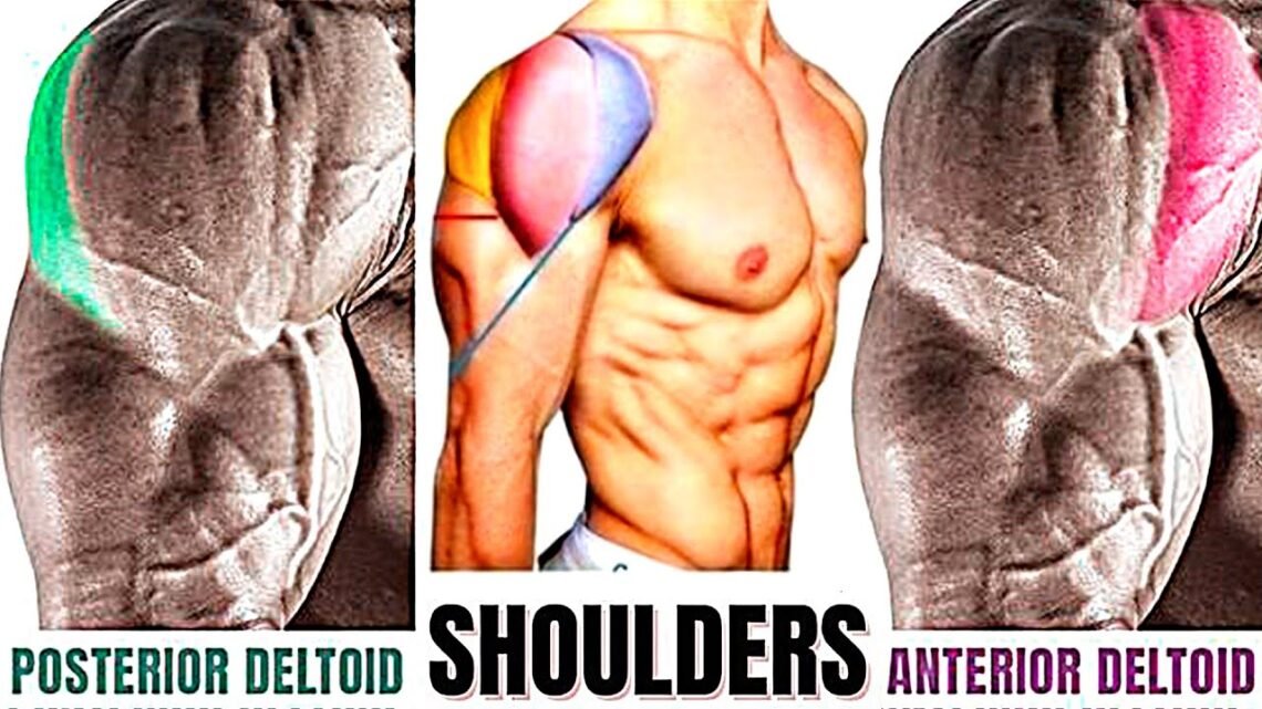 Shoulder Exercises To Add Serious Size To Your Shoulders
