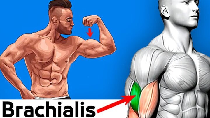 How To Build Your Biceps Fast 7 Exercises