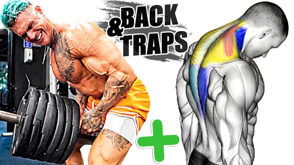 Workout that Will Grow your Back and Traps