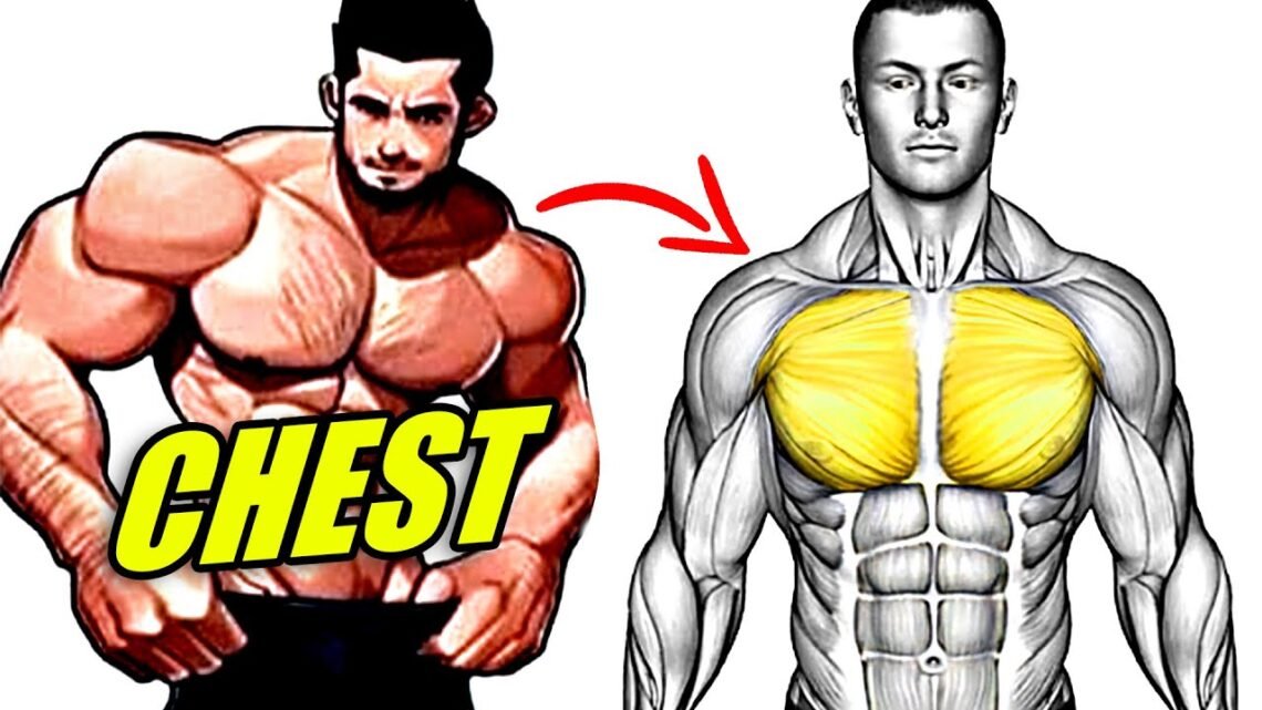 Fast Effective Bodyweight Chest Workout (Push Ups Only)
