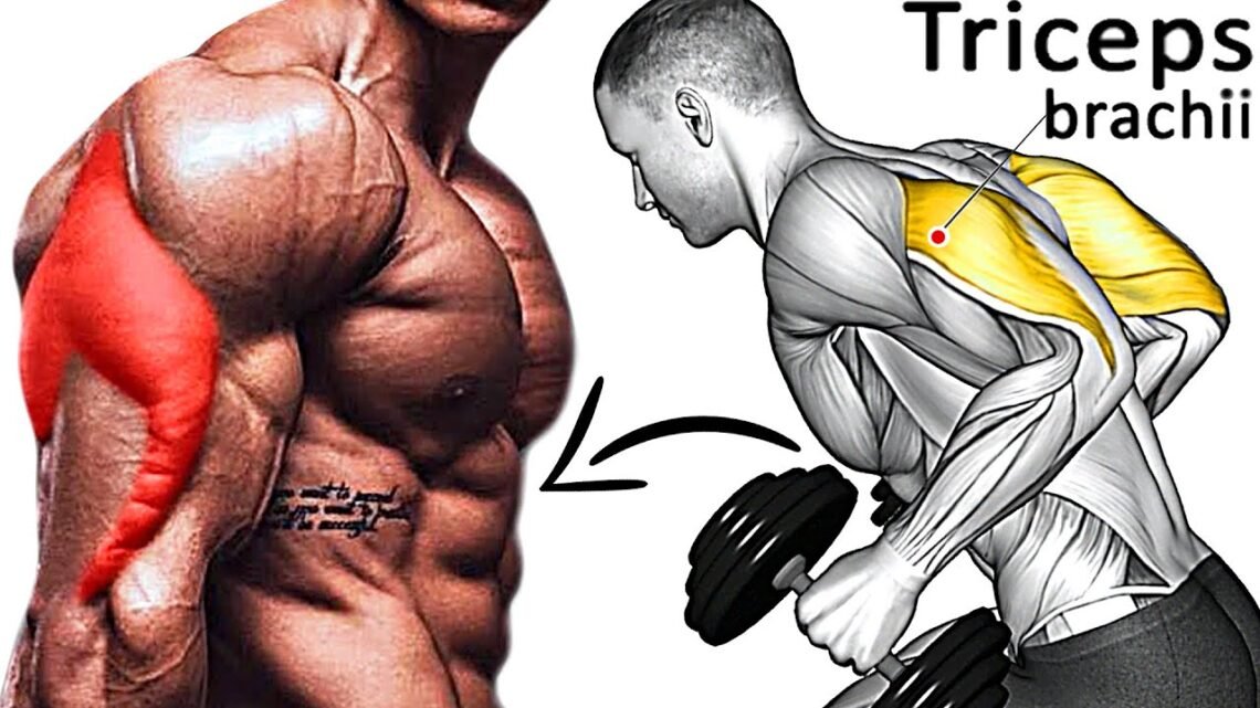 How To Build Massive Triceps (8 Best GYM Exercises)