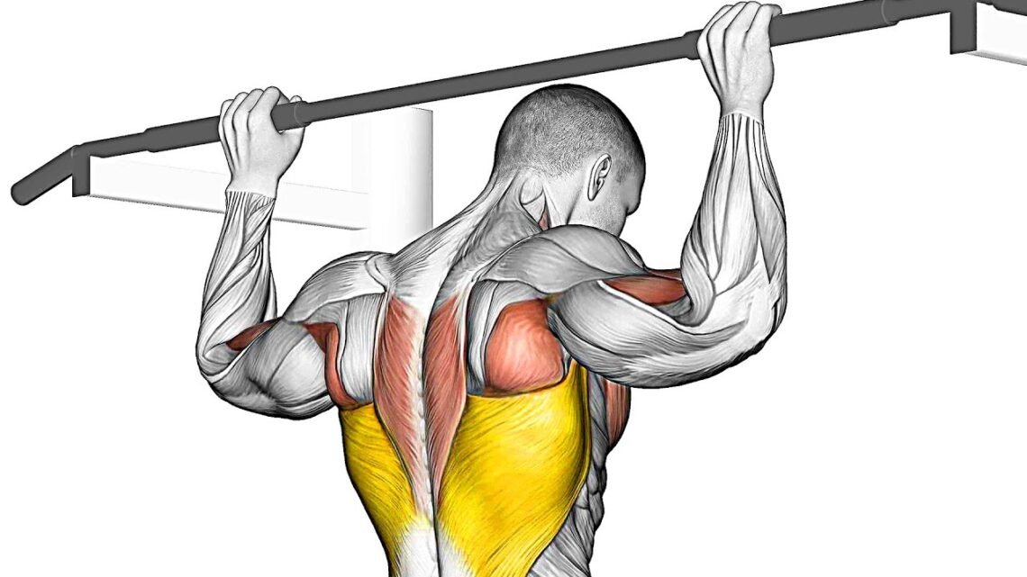 The Best PullUp Variations (Transform Your Back)