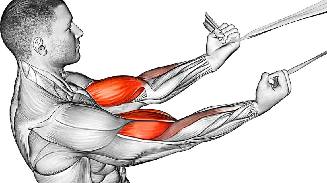 The Best Biceps Exercises (No Weight-At Home)