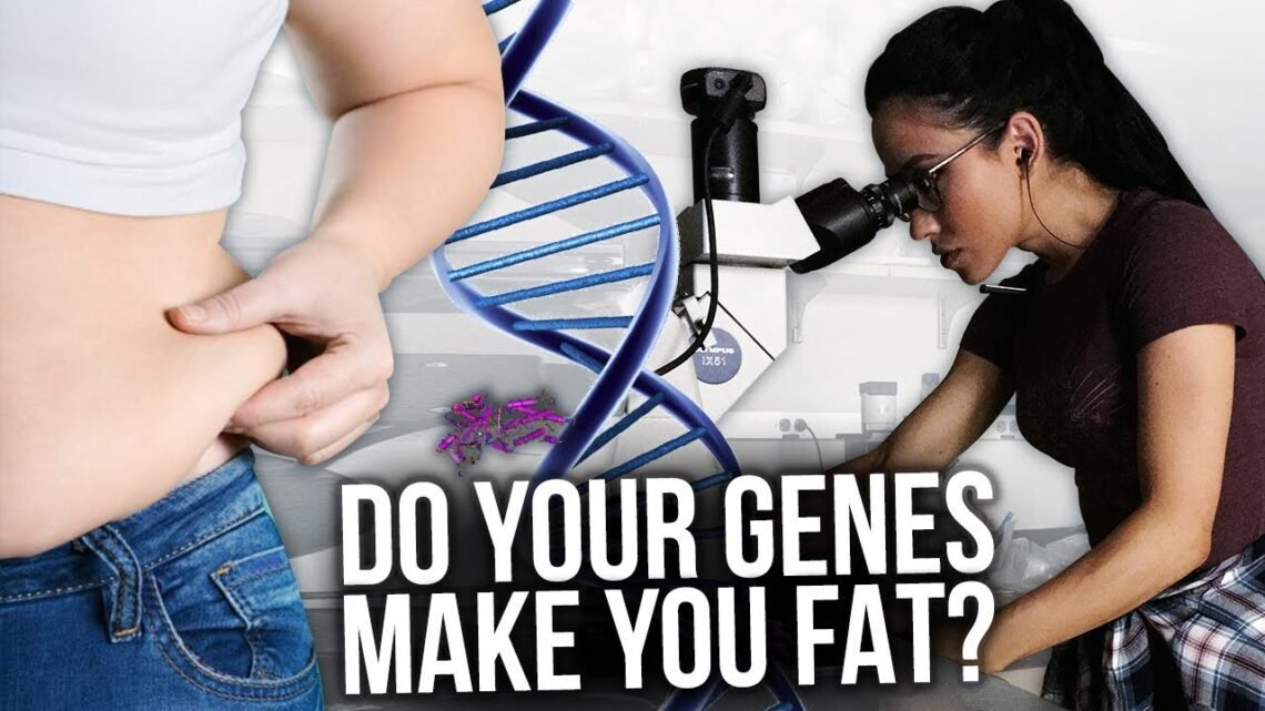 Do Your Genes Make You FAT?  Is there a FAT gene?