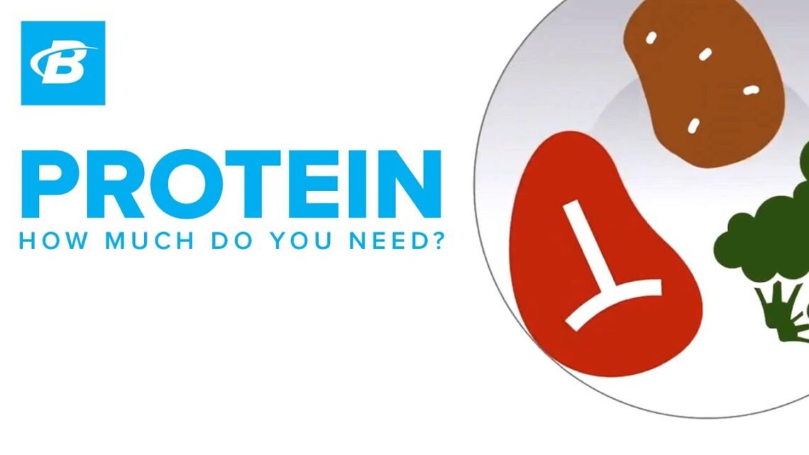 How Much Protein Do You Need?  Foundations of Fitness Nutrition