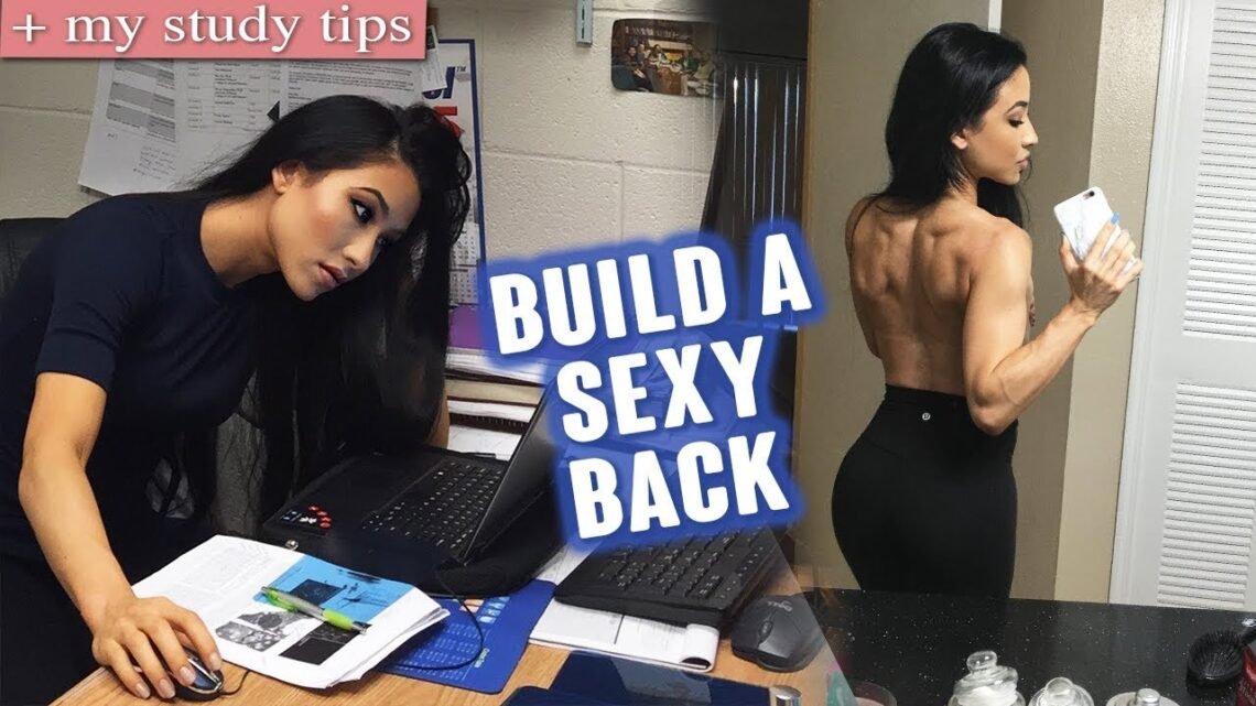 The Smartest Workout for a Defined Back  My Study Tips (How I Study)