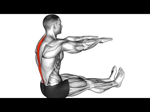 10 Min Full Body Stretch for Flexibility and Mobility