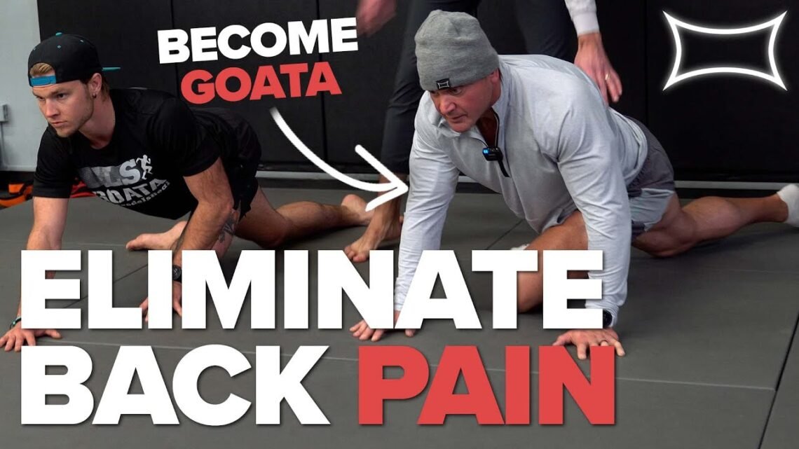 Become GOATA & Relieve Back Pain