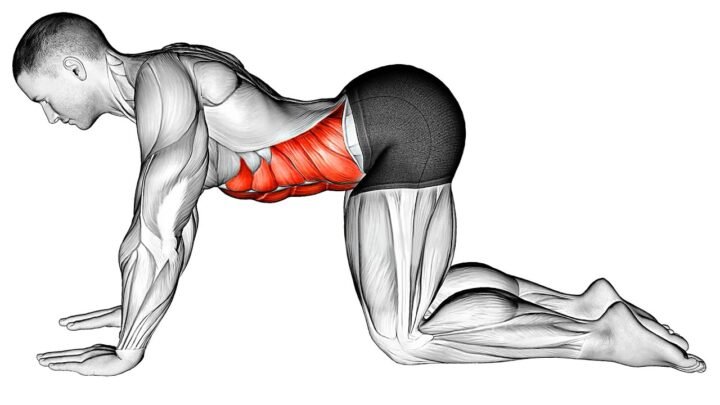 The Best Warm Up Exercises At Home