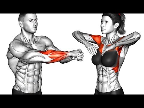 Do This 5 Minute Arms Workout (Warm Up No Equipment)