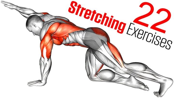 Full Body Dynamic Stretch and Cooldown Stretches