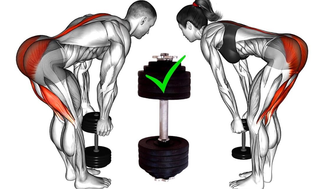 Best Dumbbell Leg Exercises