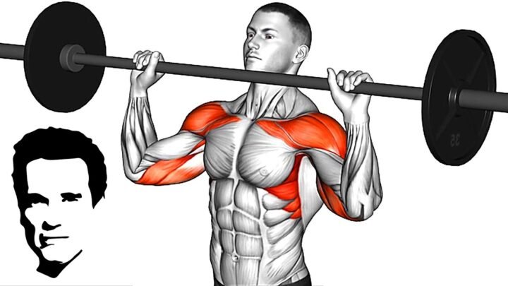 Best GYM Exercises Arnold Schwarzenegger