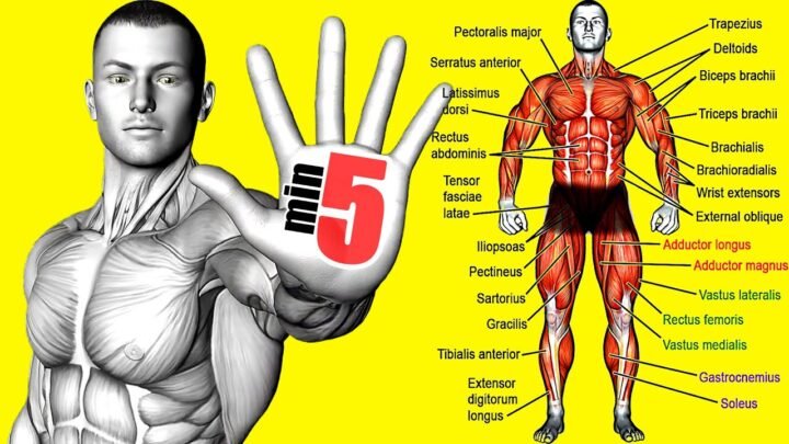 How To Lose Fat At Home (5 Min No Rest)