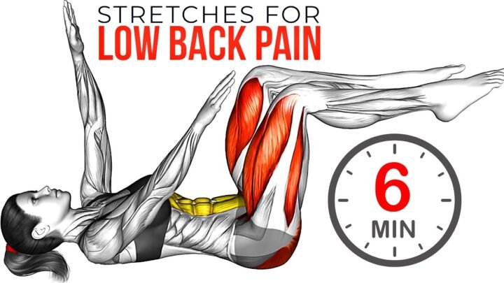 Best Back and Core Exercises For Lower Back Pain