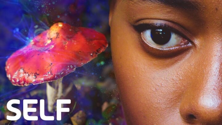 Why Psychedelics are the Future of Mental Health Treatment  SELF
