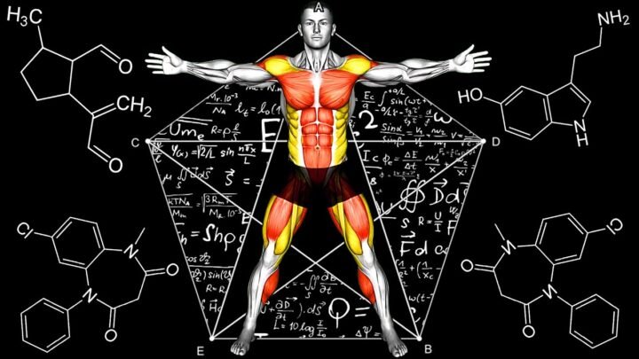 10 Min Best At Home Workout Moves