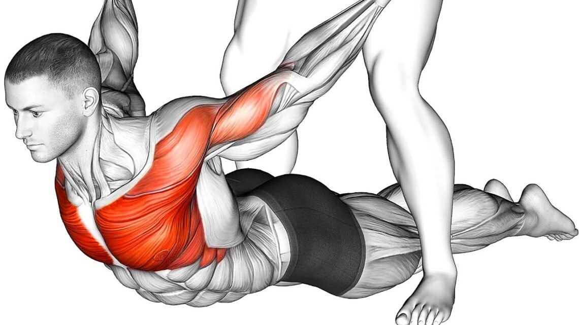 Warm Up Exercises (Dynamic Stretch) Warm Up Exercises (Dynamic Stretch)