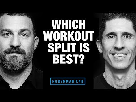 Which Workout Split is Best? (ft. Huberman Lab Podcast)