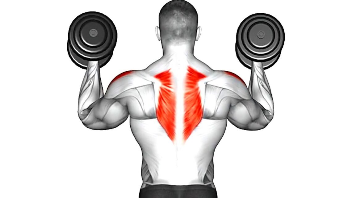 5 Effective Dumbbell Exercises