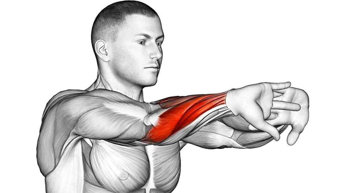 5 Minutes Dynamic Warm Up Exercises