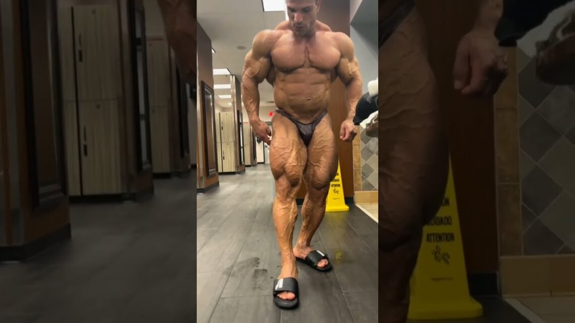 Bodybuilding – Workout Motivation #shorts #youtubeshorts #shortvideos #fitness Bodybuilding – Workout Motivation #shorts #youtubeshorts #shortvideos #fitness