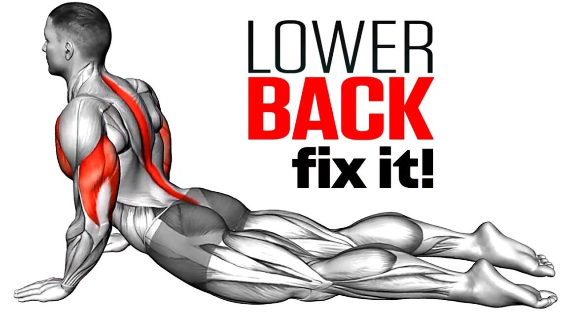 Exercises To Reduce Lower Back Pain Exercises To Reduce Lower Back Pain