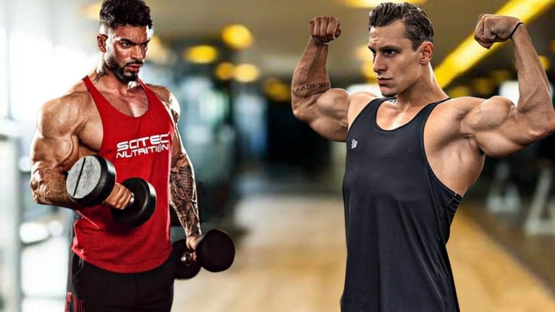 Biceps and Triceps Workout ?- Arms Workout Exercises