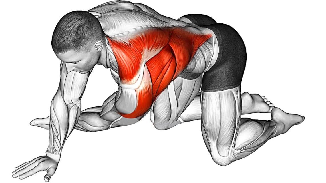 My Daily Stretching Exercises My Daily Stretching Exercises