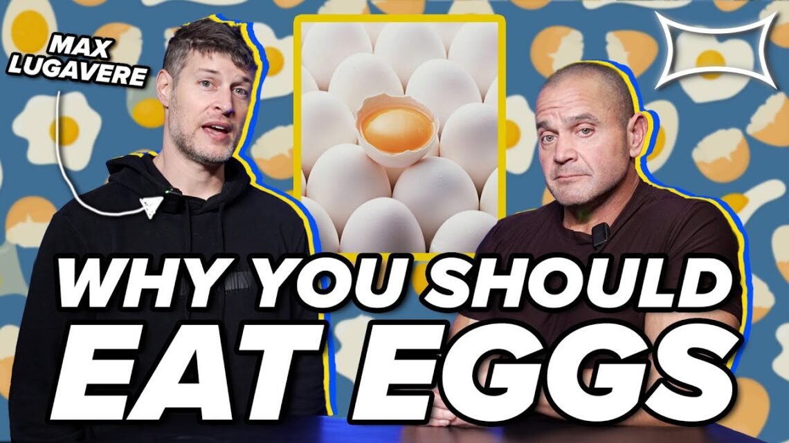 Why You Should Eat EGGS (& Not Worry About Cholesterol) Why You Should Eat EGGS (& Not Worry About Cholesterol)