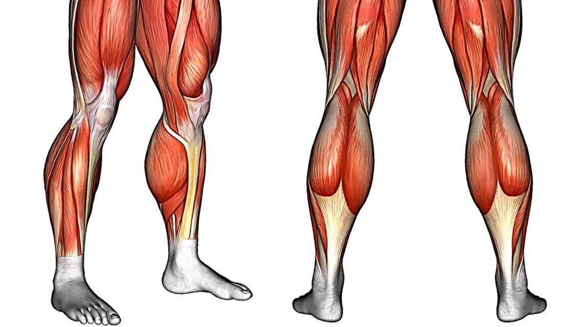 10 Best Warm Up Exercises for Legs