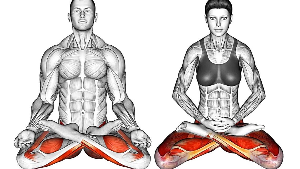 Increase Your Mobility with These Exercises