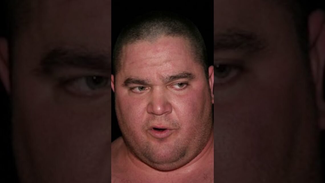 How I Felt My Entire Powerlifting Career #sofat How I Felt My Entire Powerlifting Career #sofat