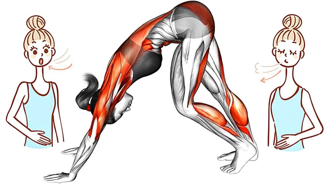 Do These Stretches To Boosts Your Immune System