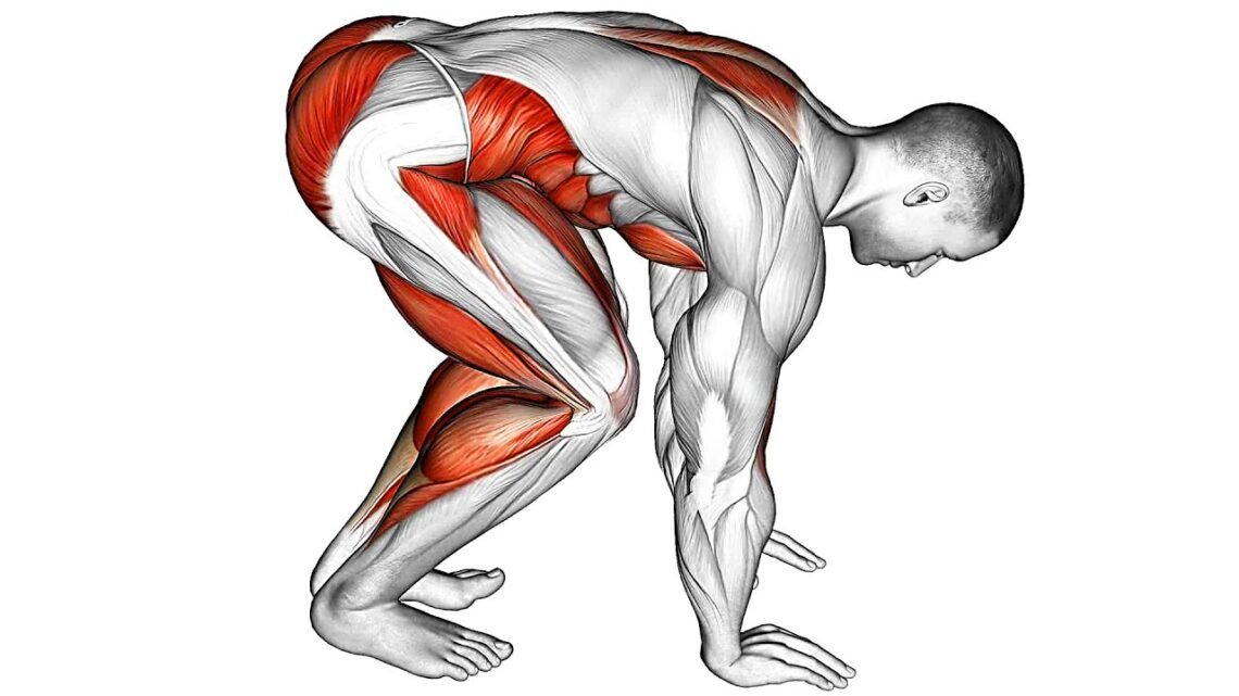 Morning Stretches For Runners