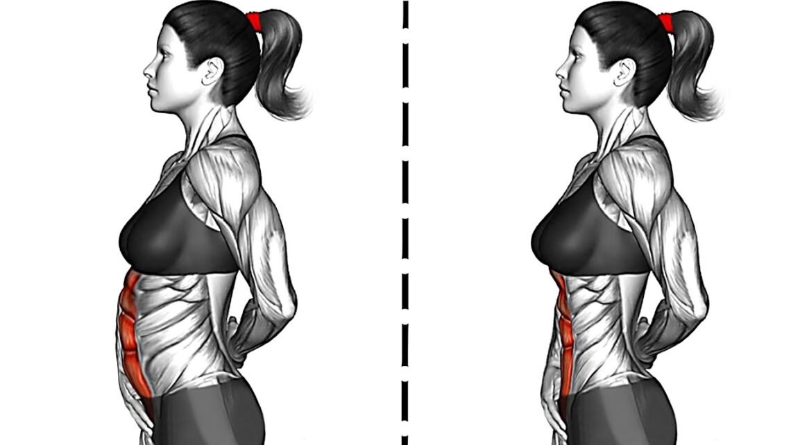 How to Get Slim Waist and V Cut Abs How to Get Slim Waist and V Cut Abs