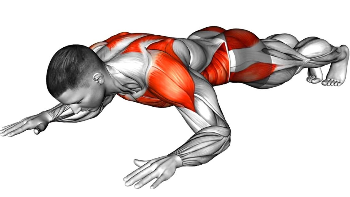 Exercises For a Flat Belly (5 Minute Plank Routine) Exercises For a Flat Belly (5 Minute Plank Routine)