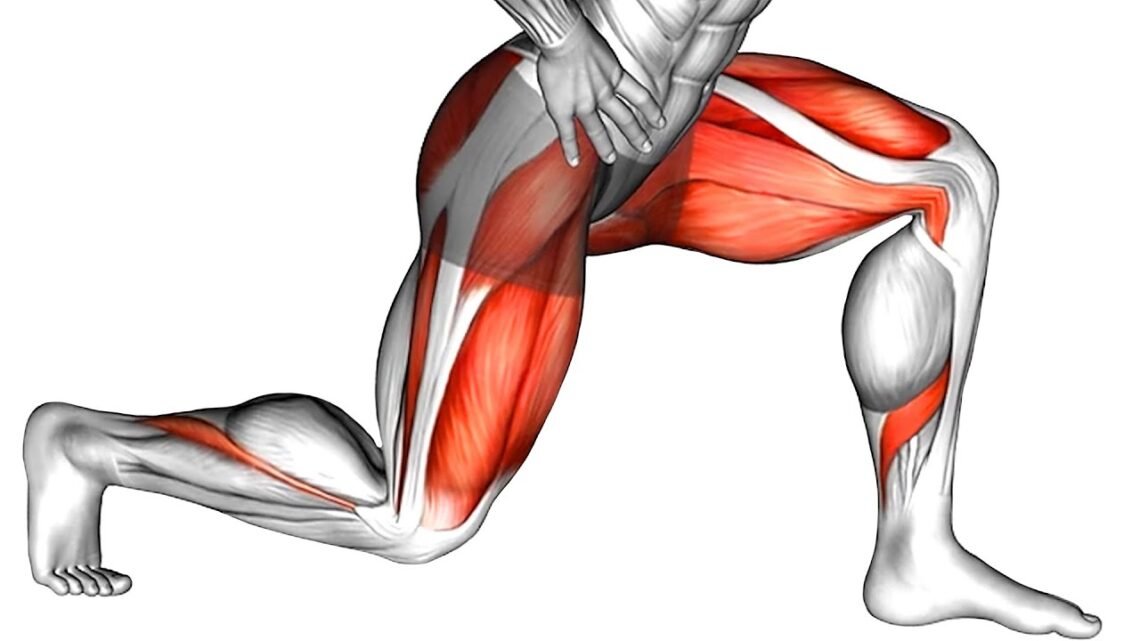How to Get Thicker Thighs How to Get Thicker Thighs