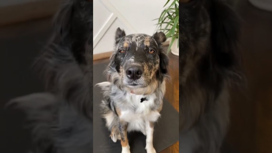 Me obsessed with you? ????