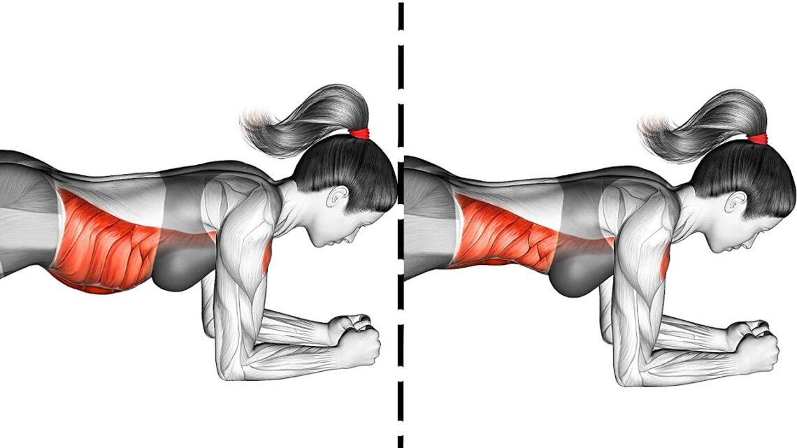 5 Minute Daily Plank Workout To Your Stubborn Belly 5 Minute Daily Plank Workout To Your Stubborn Belly