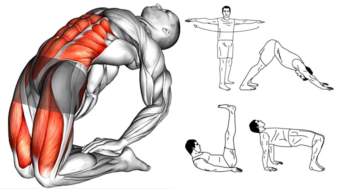 5 Tibetan Monks – Medical Gymnastics 5 Tibetan Monks – Medical Gymnastics
